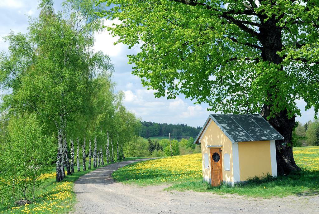 Apartman - Dum Ceskeho Svycarska Красна-Ліпа Екстер'єр фото